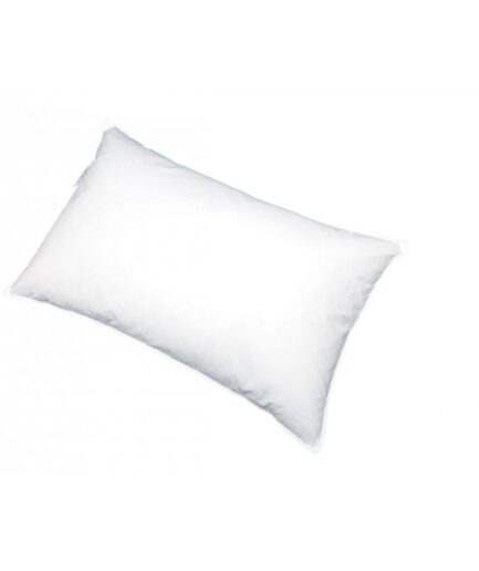 Μαξιλάρι Piuma E Piumino D'oca